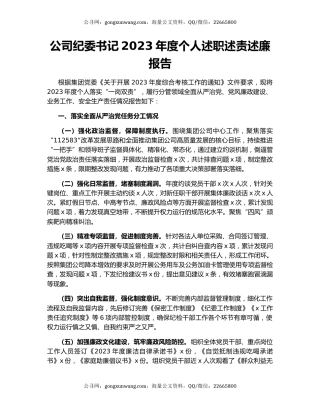 公司纪委书记2023年度个人述职述责述廉报告