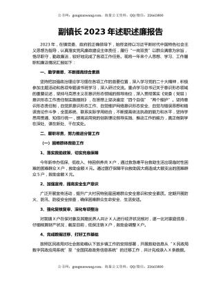 副镇长2023年述职述廉报告