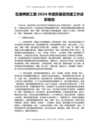 区委两新工委2024年度抓基层党建工作述职报告