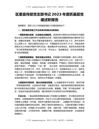 区委宣传部党支部书记2023年度抓基层党建述职报告