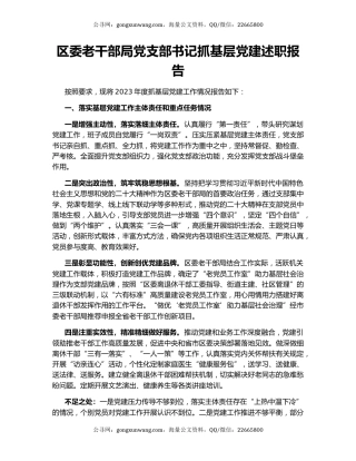 区委老干部局党支部书记抓基层党建述职报告