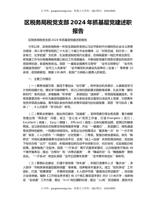 区税务局税党支部2024年抓基层党建述职报告