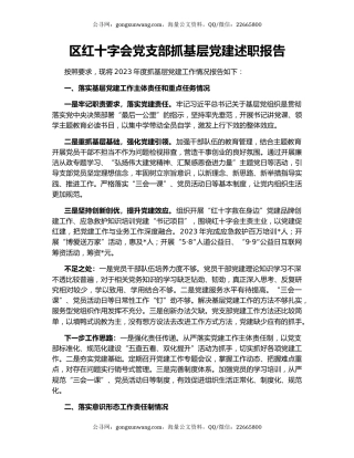 区红十字会党支部抓基层党建述职报告