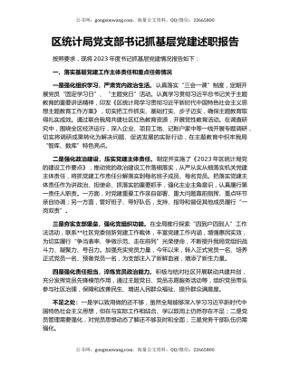 区统计局党支部书记抓基层党建述职报告