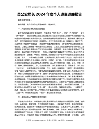 县公安局长2024年度个人述责述廉报告