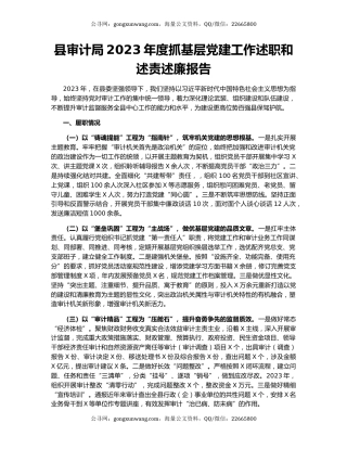 县审计局2023年度抓基层党建工作述职和述责述廉报告