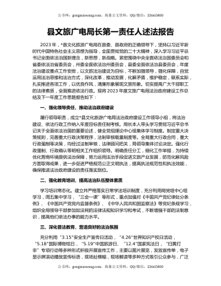 县文旅广电局长第一责任人述法报告