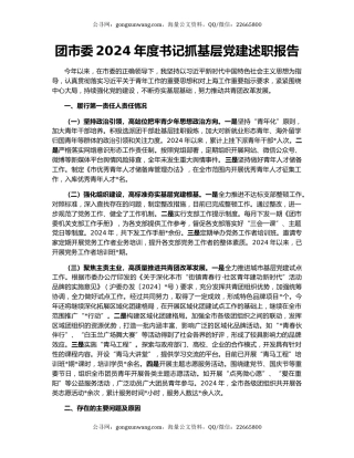 团市委2024年度书记抓基层党建述职报告