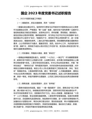 国企2023年度党委书记述职报告