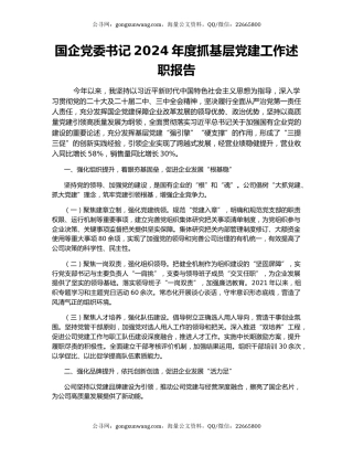国企党委书记2024年度抓基层党建工作述职报告