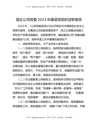 国企公司党委2023年基层党组织述职报告