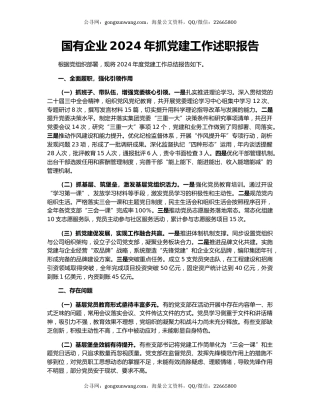 国有企业2024年抓党建工作述职报告