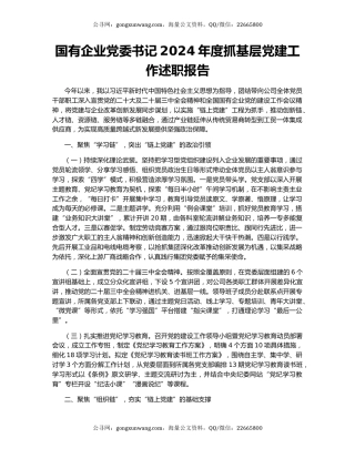 国有企业党委书记2024年度抓基层党建工作述职报告
