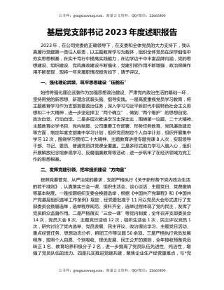 基层党支部书记2023年度述职报告