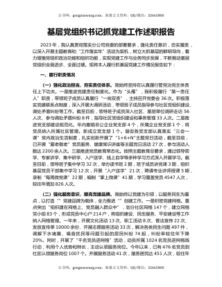 基层党组织书记抓党建工作述职报告