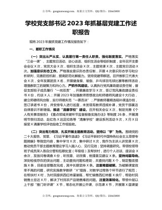 学校党支部书记2023年抓基层党建工作述职报告