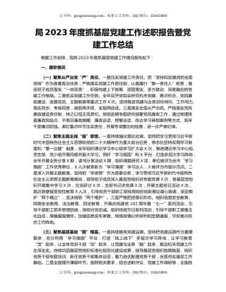 局2023年度抓基层党建工作述职报告暨党建工作总结