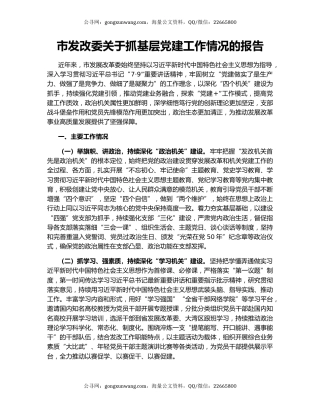 市发改委关于抓基层党建工作情况的报告