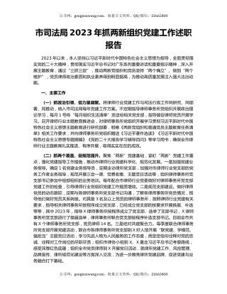市司法局2023年抓两新组织党建工作述职报告