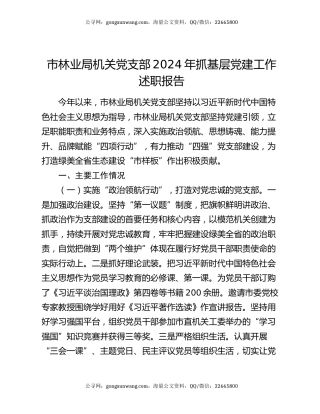 市林业局机关党支部2024年抓基层党建工作述职报告