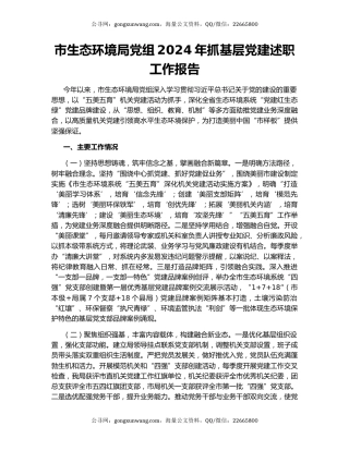 市生态环境局党组2024年抓基层党建述职工作报告
