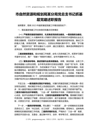 市自然资源和规划局某分局党总支书记抓基层党建述职报告