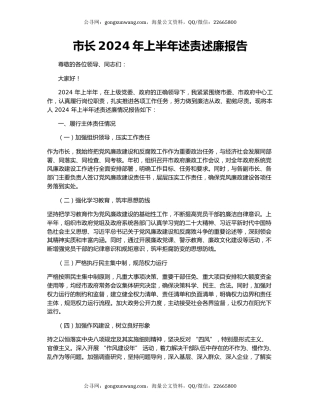 市长2024年上半年述责述廉报告