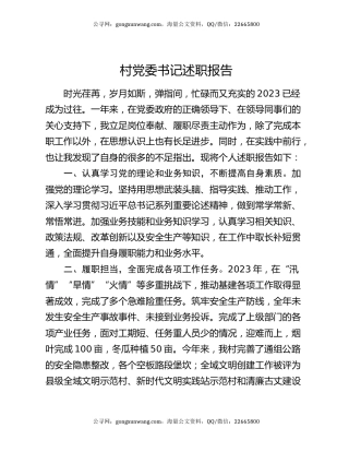 村党委书记述职报告