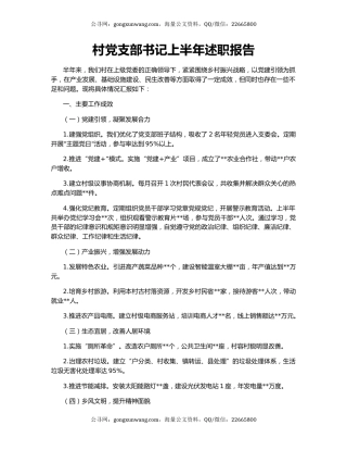 村党支部书记上半年述职报告