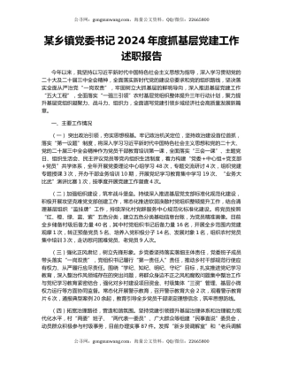某乡镇党委书记2024年度抓基层党建工作述职报告