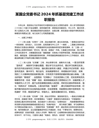 某国企党委书记2024年抓基层党建工作述职报告