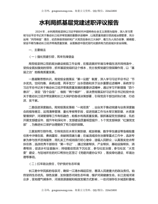 水利局抓基层党建述职评议报告