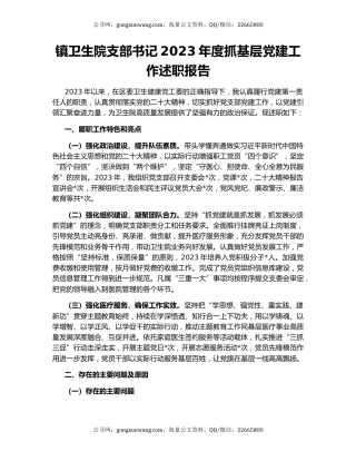 镇卫生院支部书记2023年度抓基层党建工作述职报告