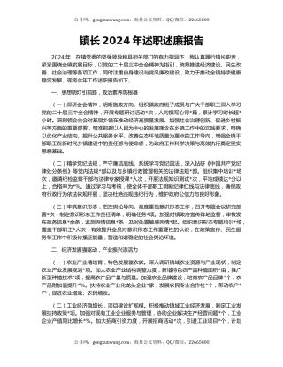 镇长2024年述职述廉报告