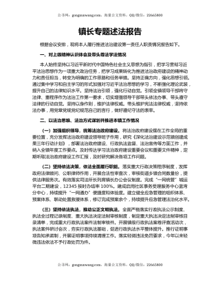 镇长专题述法报告