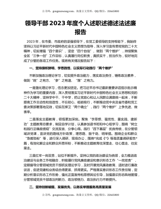 领导干部2023年度个人述职述德述法述廉报告