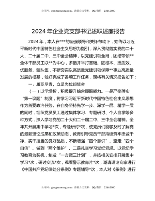 2024年企业党支部书记述职述廉报告
