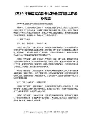 2024年基层党支部书记抓基层党建工作述职报告