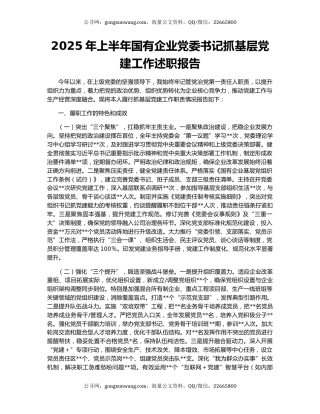 2025年上半年国有企业党委书记抓基层党建工作述职报告