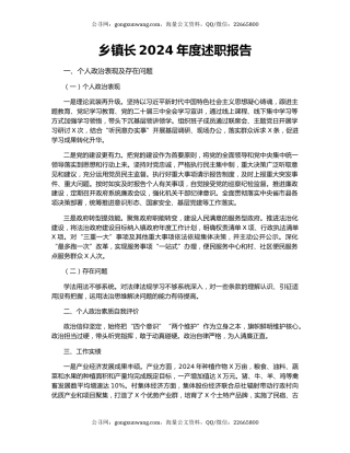 乡镇长2024年度述职报告