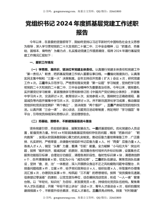 党组织书记2024年度抓基层党建工作述职报告