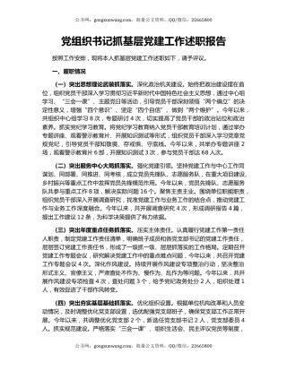 党组织书记抓基层党建工作述职报告