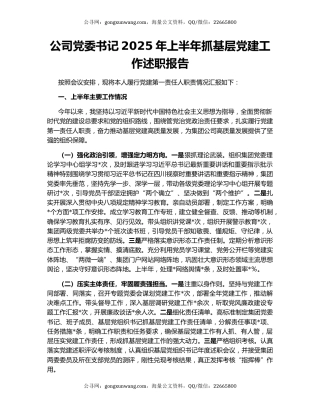 公司党委书记2025年上半年抓基层党建工作述职报告
