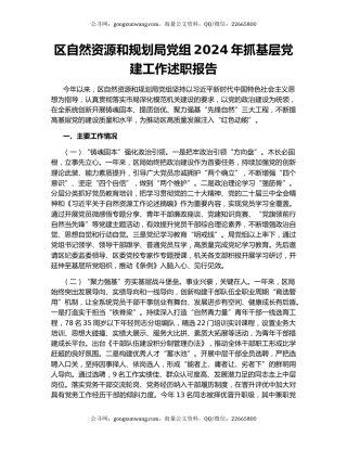 区自然资源和规划局党组2024年抓基层党建工作述职报告
