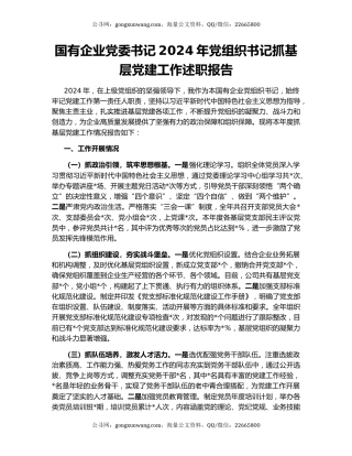 国有企业党委书记2024年党组织书记抓基层党建工作述职报告