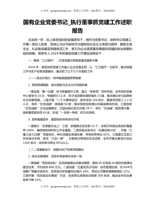 国有企业党委书记_执行董事抓党建工作述职报告