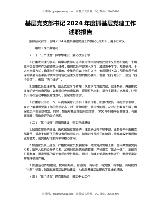基层党支部书记2024年度抓基层党建工作述职报告