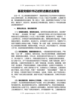 基层党组织书记述职述廉述法报告