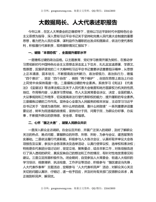 大数据局长、人大代表述职报告