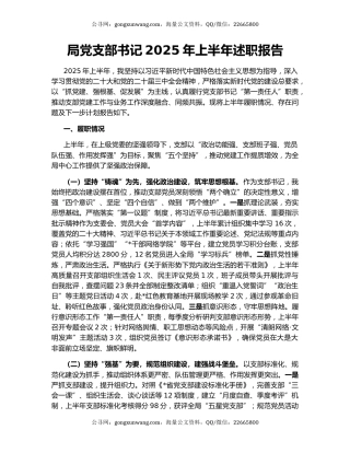 局党支部书记2025年上半年述职报告